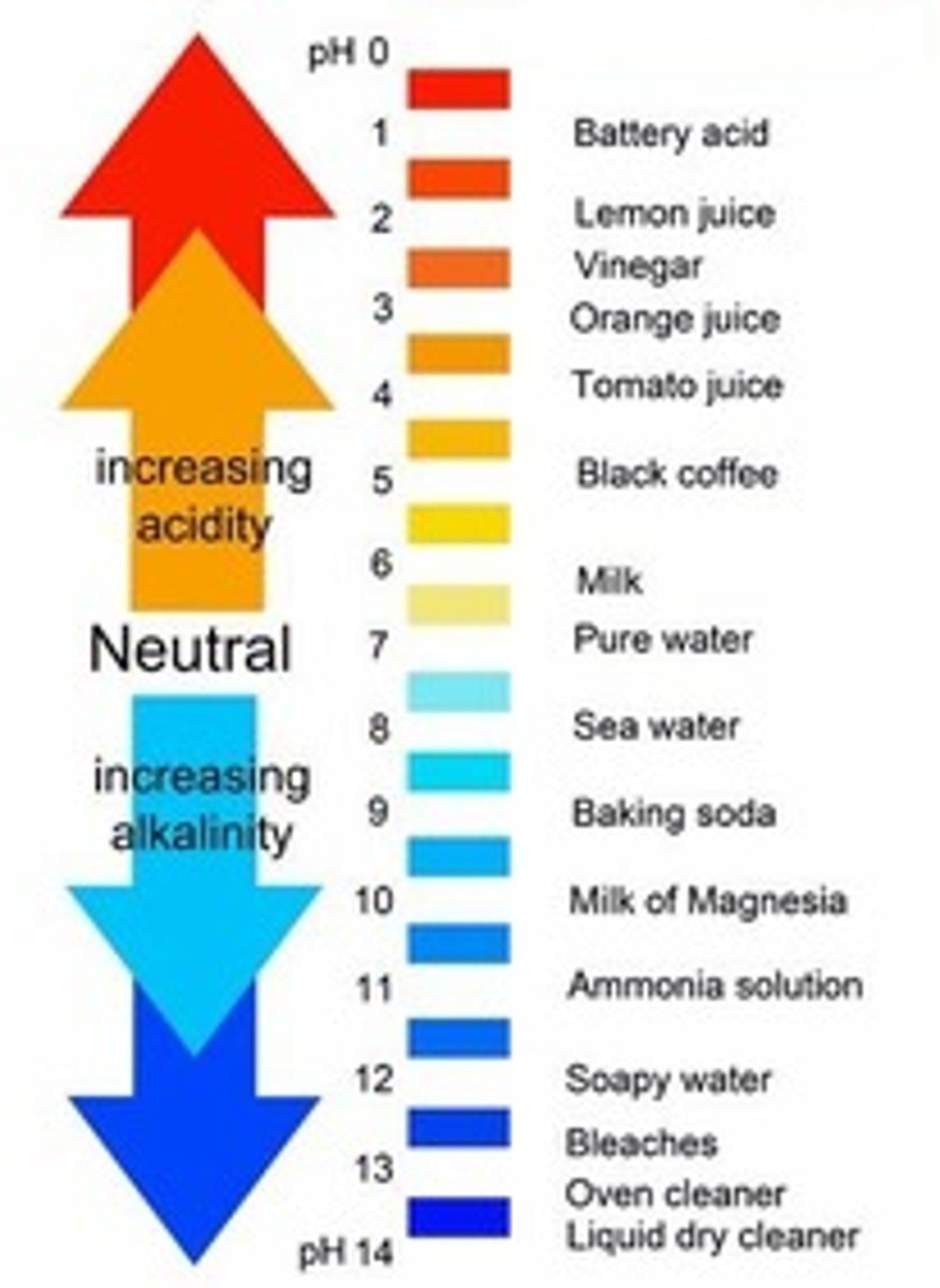 <p>A scale that measures from 0 to 14 used to measure the pH of a solution. Acids are pH 0 to 6.9 and bases are pH 7.1 to 14.</p>