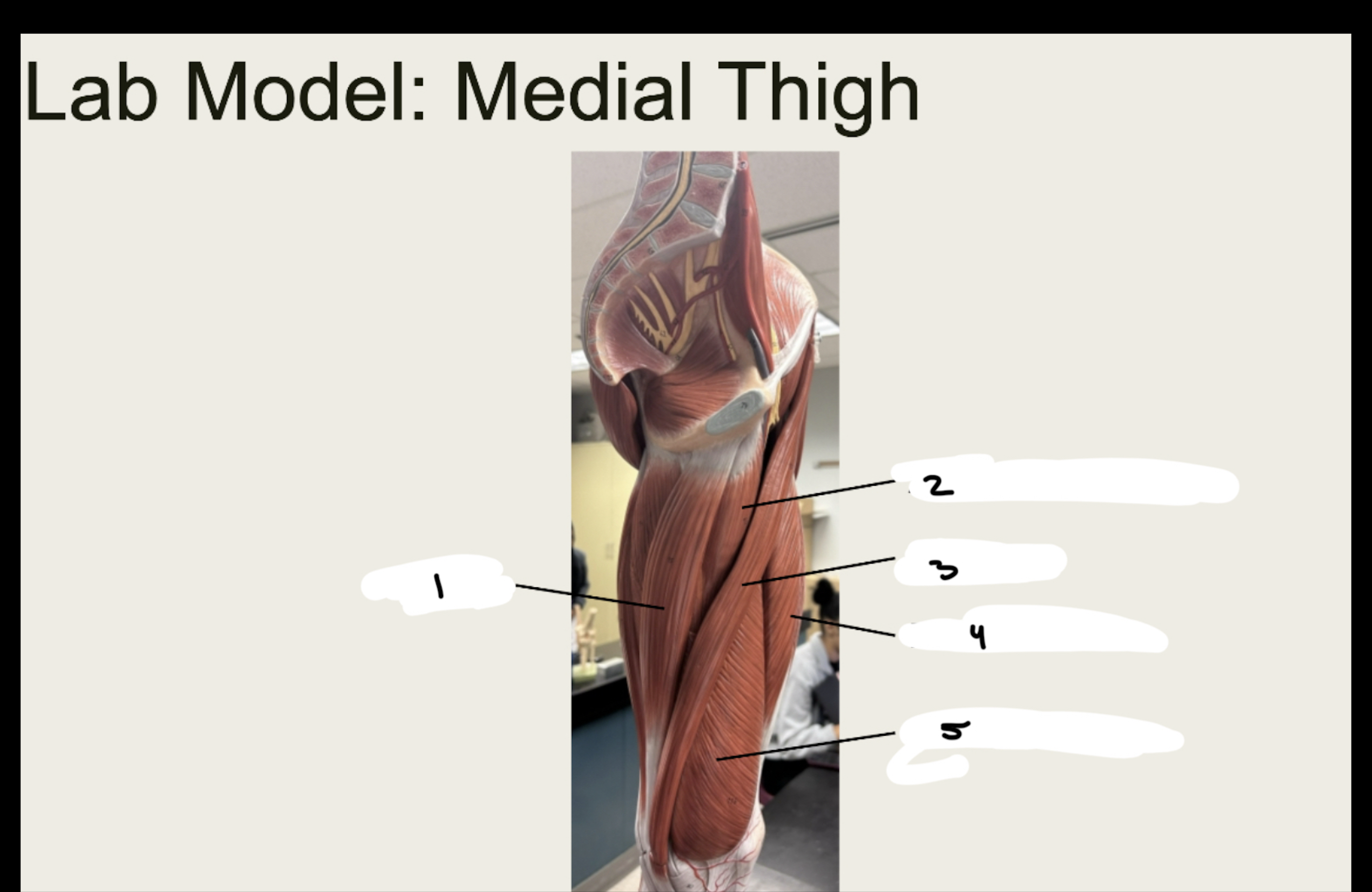 <p>1.XX</p><p>2.XX</p><p>3.XX</p><p>4.XX</p><p>5.XX</p>