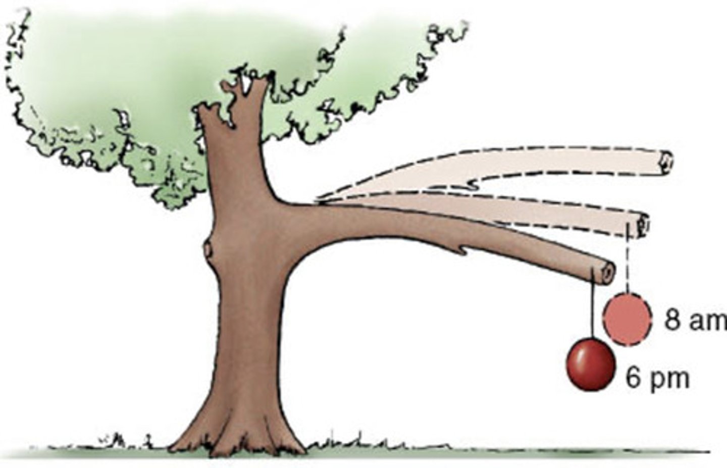 <p>force is sustained while length changes over time</p>