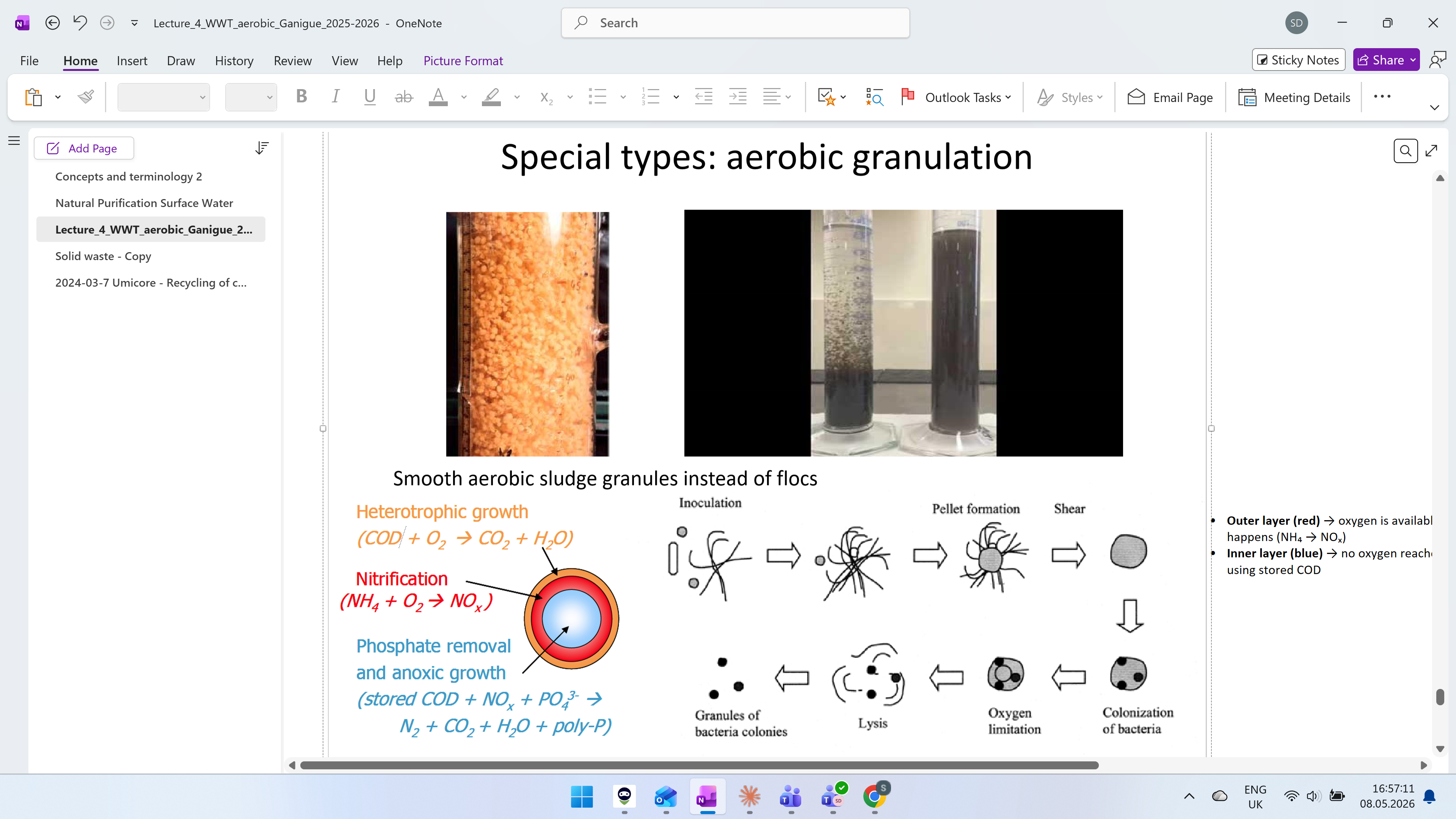<p>Instead of flocs, bacteria form granules</p><p><strong>Outer layer (red)</strong> → oxygen is available → <strong>heterotrophic bacteria</strong> break down COD, and <strong>nitrification</strong> happens </p><ul><li><p><strong>Inner layer (blue)</strong> → no oxygen reaches here → <strong>denitrification and phosphate removal</strong> happen using stored COD</p></li></ul><p></p><p>Advantages:</p><ul><li><p>High settling velocity</p></li><li><p>High biomass retention - because they sink fast, bacteria stay in the tank rather than escaping with the effluent</p></li><li><p>High loads possible - granules are so packed with bacteria that a small tank can treat a lot of wastewater</p></li><li><p>Better withstands toxicants - toxic substances can only reach the outer layer, inner bacteria are protected</p></li></ul><p>Disadvantage:</p><ul><li><p>Technically challenging to obtain aerobic flocs - getting bacteria to form granules instead of flocs is difficult and requires very precise conditions</p></li></ul><p></p>