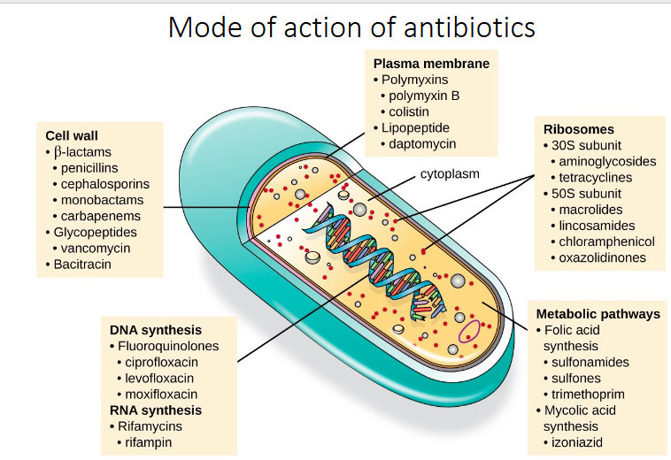 <p>DIAGRAM ON SLIDE 9</p>