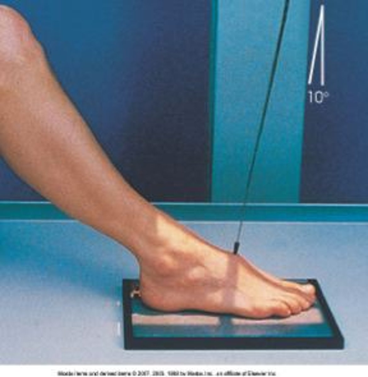 <p>S - on lap</p><p>T - 4.5 mAs @ 60 kVp</p><p>A - 10 degrees toward ankle</p><p>M - correct foot, on cassette</p><p>P - foot flat on IR, CR mid foot (3rd MT)</p><p>S - 40"</p><p>B - suspension</p><p>C - 10 x 12, L</p>