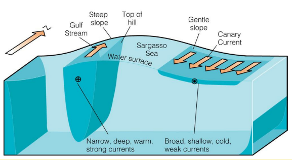 <ul><li><p>Eastern side of the Atlantic</p></li><li><p>Land masses move away from the current instead of squeezing it, resulting in a slower current </p></li><li><p>Much more shallow and wider, as a result weaker </p></li></ul><p></p>