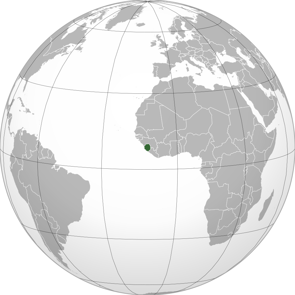 term image