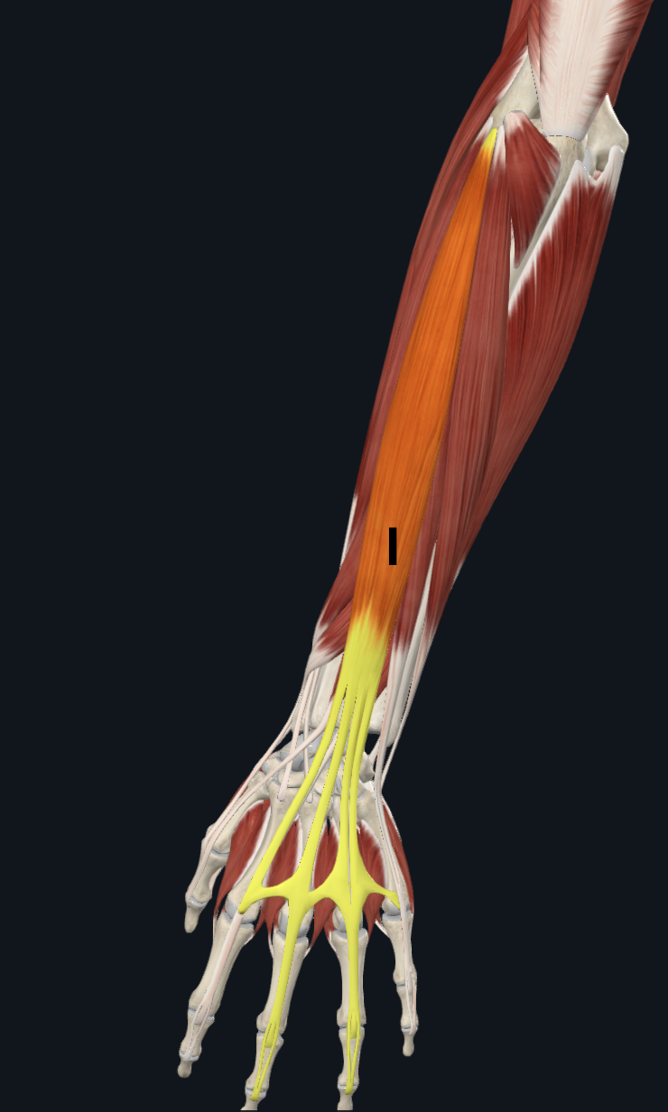 <p>I</p>