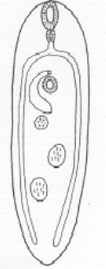 <p>name it</p>