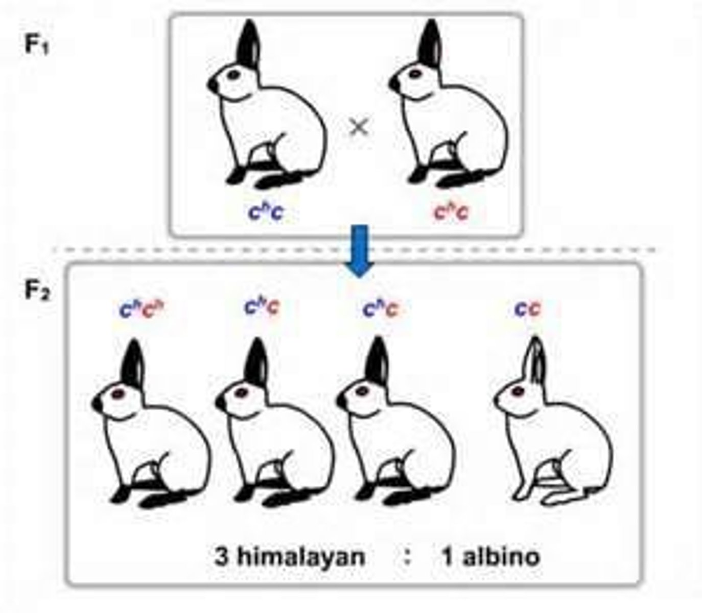 <p>can be directly measured or observed.</p>