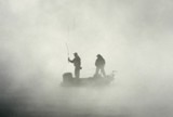<p>hay neblina</p>