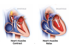 <p>when the pressure in one chamber exceeds that of the other (ex. pressure in the ventricles exceeds that in the pulmonary artery and aorta during systole. The pressure in the atria is greater than the ventricles during diastole)</p>