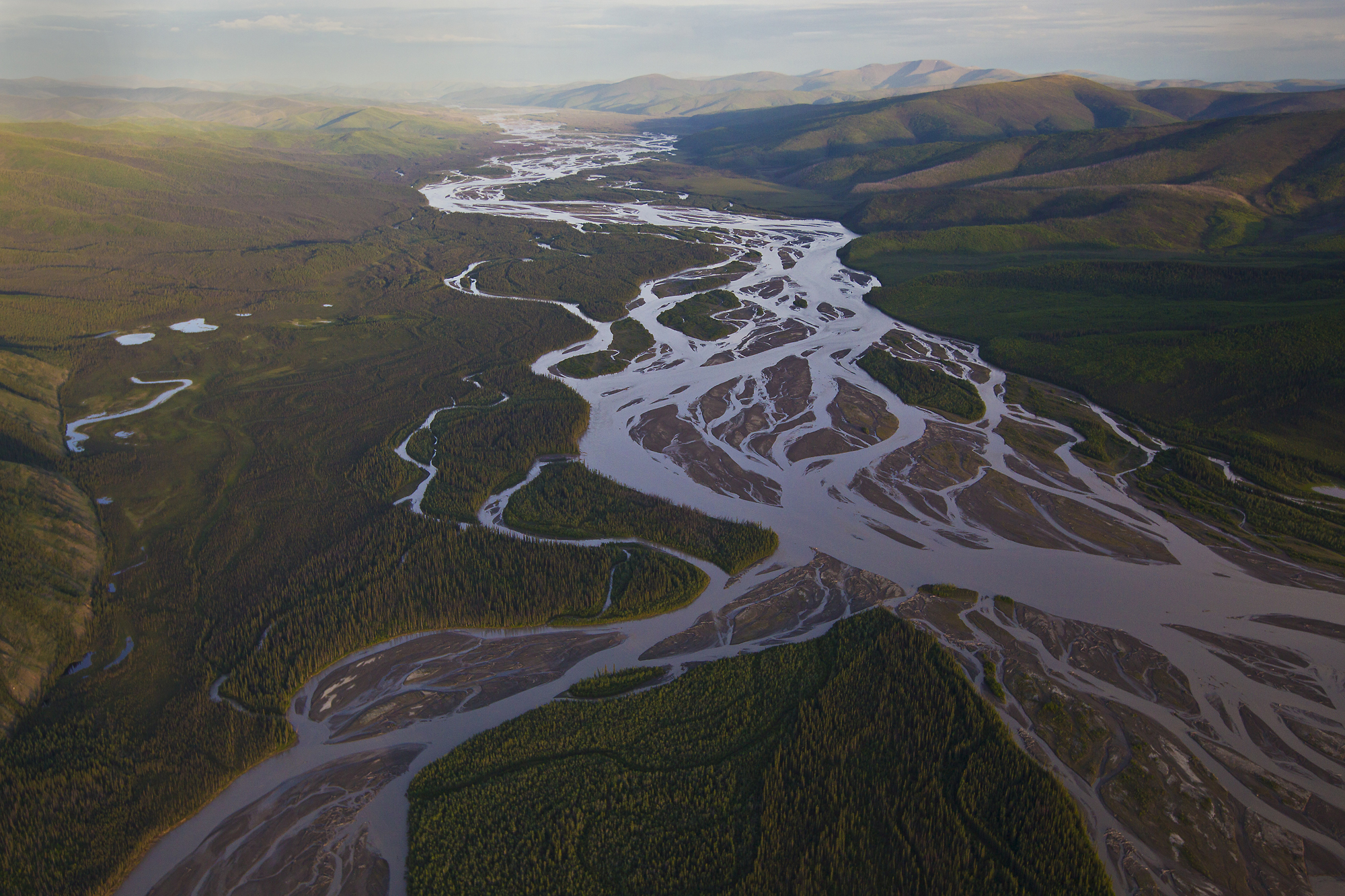 <p>when a river splits off into multiple streams</p><p>→ forms islands</p><p>→ can be temporary or permanent</p><p>→ happens when banks are soft + easily eroded</p>