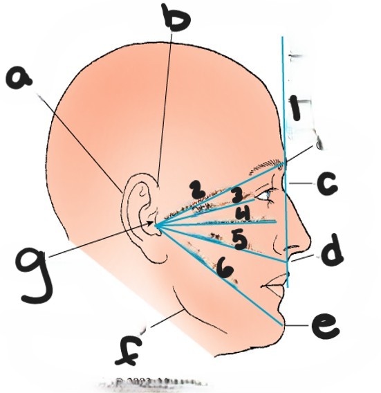 <p>what is #3?</p>