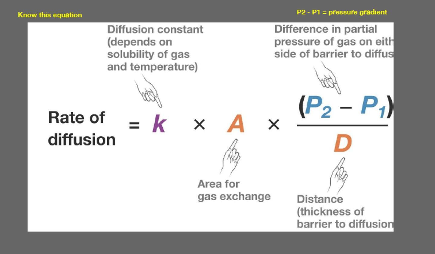 <p>used for passive diffusion until concentration gradients are equal on both sides</p><p>faster diffusion if drug is smaller, membrane area is larger, concentration gradient is larger, and membrane is thinner</p>