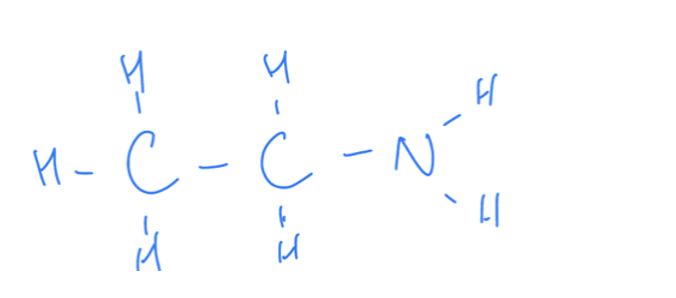 <p>What Are Amines </p>