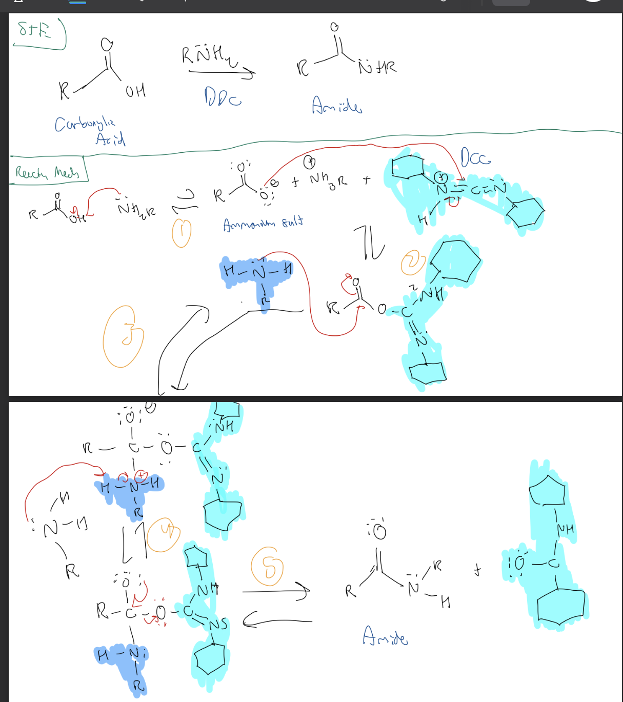 <p><strong>Carboxylic Acid → Amide</strong></p>