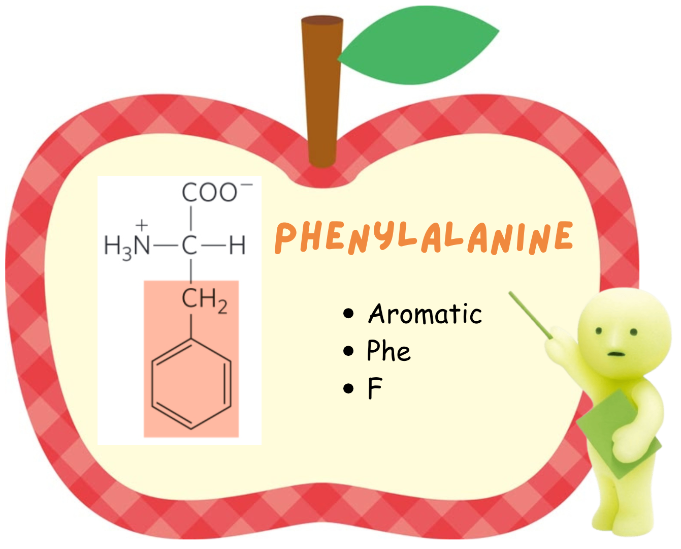 <ul><li><p>Phenylalanine</p></li><li><p>aromatic</p></li><li><p>Phe</p></li><li><p>F</p></li></ul><p></p>