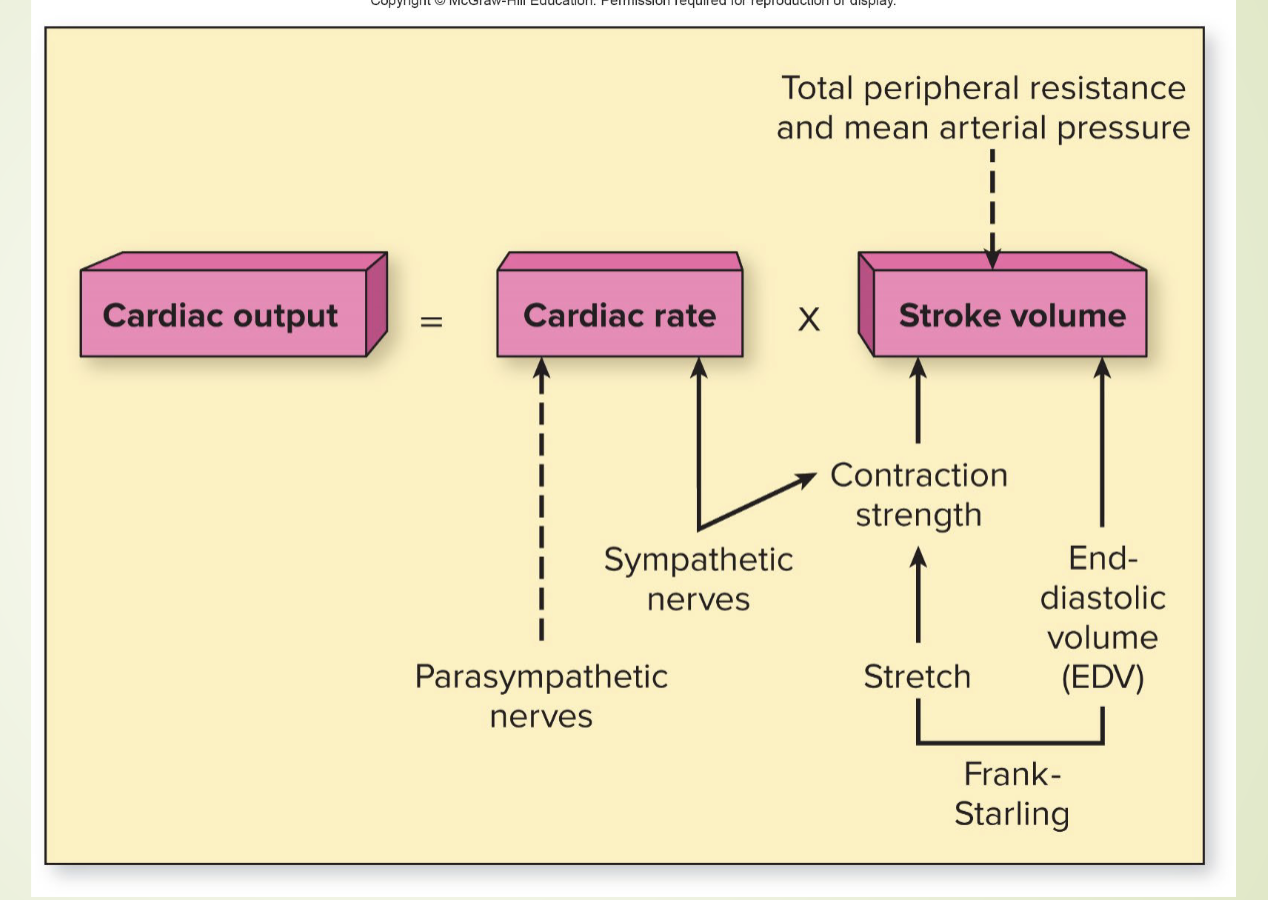 <p>explain the attached graphic </p>