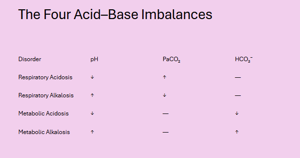 <p>respiratory alkalosis</p>