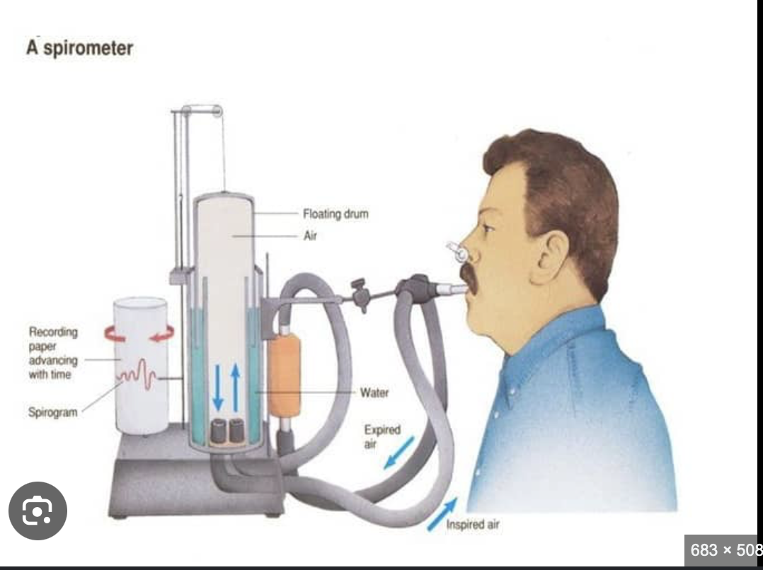 <ul><li><p>CANNOT measure total lung capacity bc we cant egt the unmeasurable <strong>residual volume</strong></p></li><li><p>Inspiratory reserve volume: bell drops lower than normal breathing</p></li><li><p>Expiratory reserve volume: bell goes higher than normal breathing</p></li></ul><p></p>