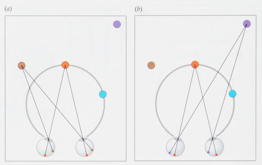 <p>Light rays projecting from the brown (a) and purple (b) crayons onto Bob’s retinas as he continues to gaze at the red crayon</p>