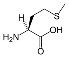 <p>(Met, M) Neutral-nonpolar, hydrophobic</p>