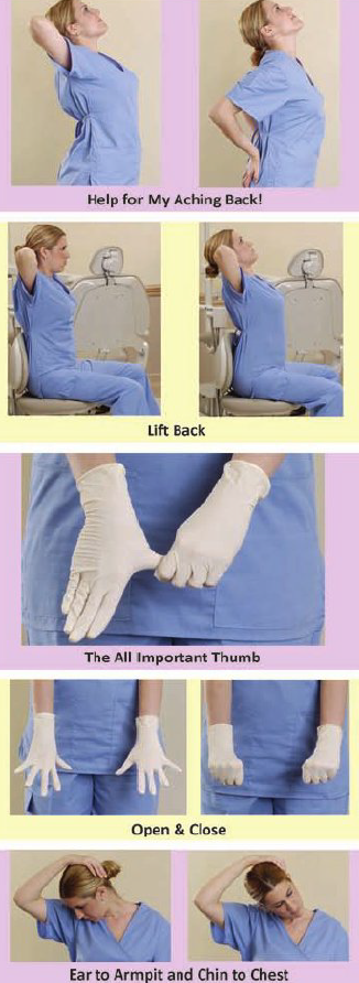 <p><strong>Types of stretches</strong></p>