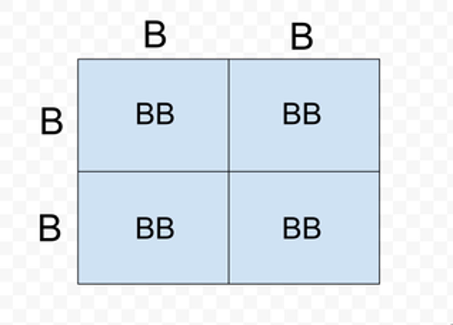 <p>- Possessing two identical alleles for a trait</p>
