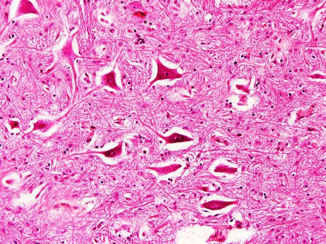 <p>Cấu trúc gì ?</p>