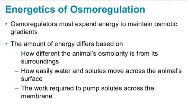 <p>this means how much ATP an organism must spend to maintain water and salt balance</p><p>It costs energy because ions move against the concentration gradients, so it requires active transport</p><p></p><p>Osmoconformers: low energy cost because internal conditions = environment</p><p>Osmoregulators: high energy cost, because they have to pump ions ion/out</p>
