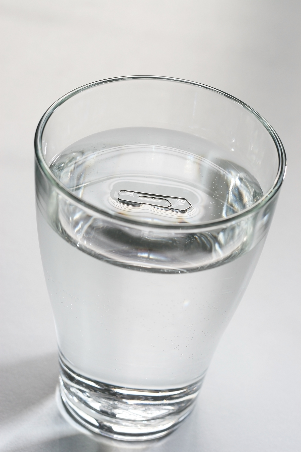 <p>surface tension</p>
