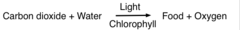 <p>Process occurring in chloroplasts that uses sunlight, carbon dioxide, and water to produce glucose and oxygen.</p>