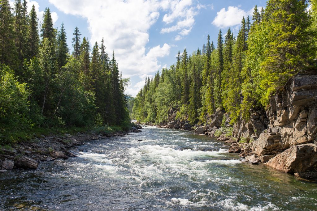 <p>large stream —> moving water —> becasue of gravity </p>