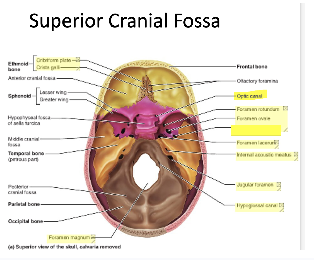knowt flashcard image