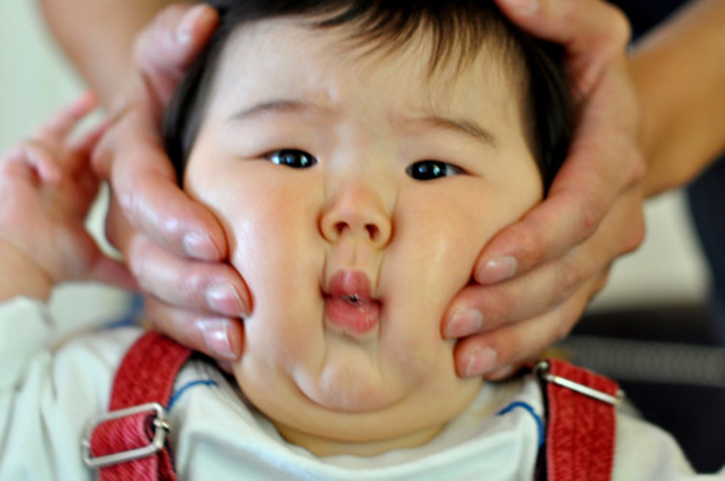 <p>буза</p>