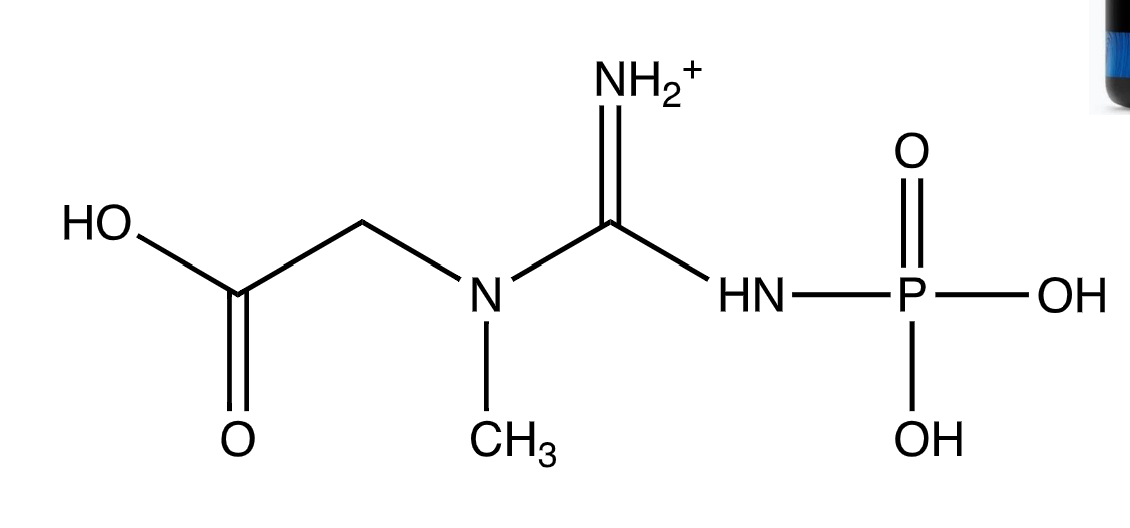 <p>What is this and why is it relevant</p>