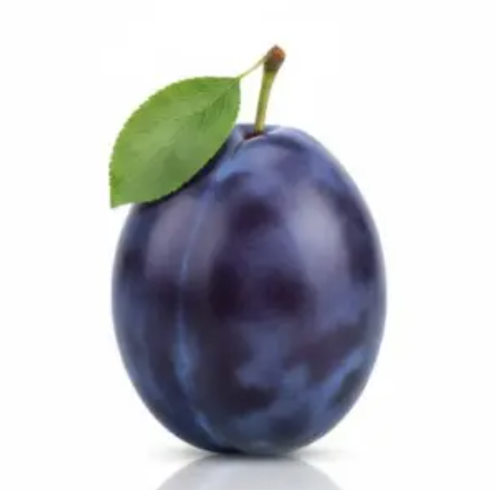 term image