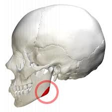 <p>Identify this part.</p>