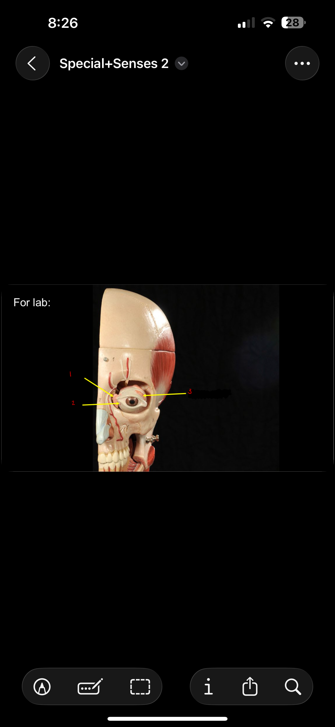 <p>this makes up the lacrimal apparatus</p>