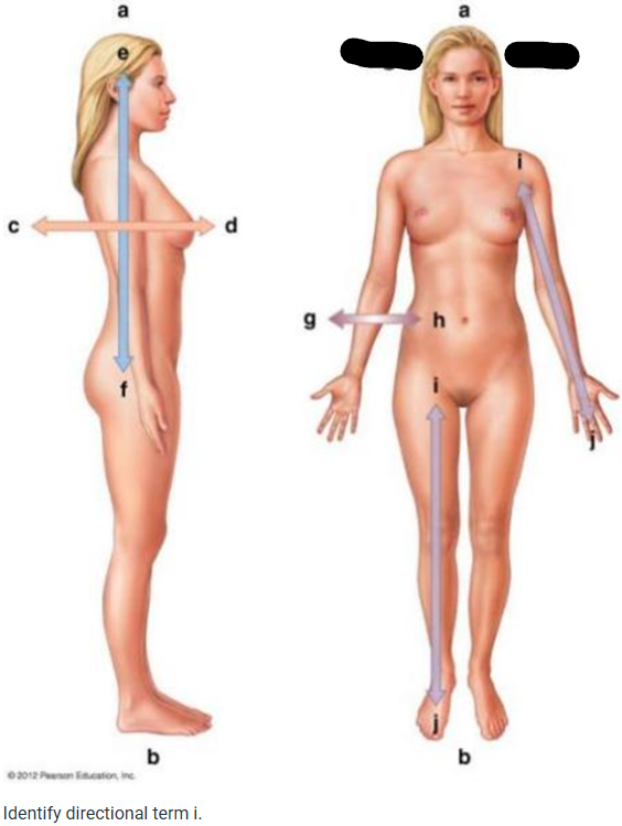 term image