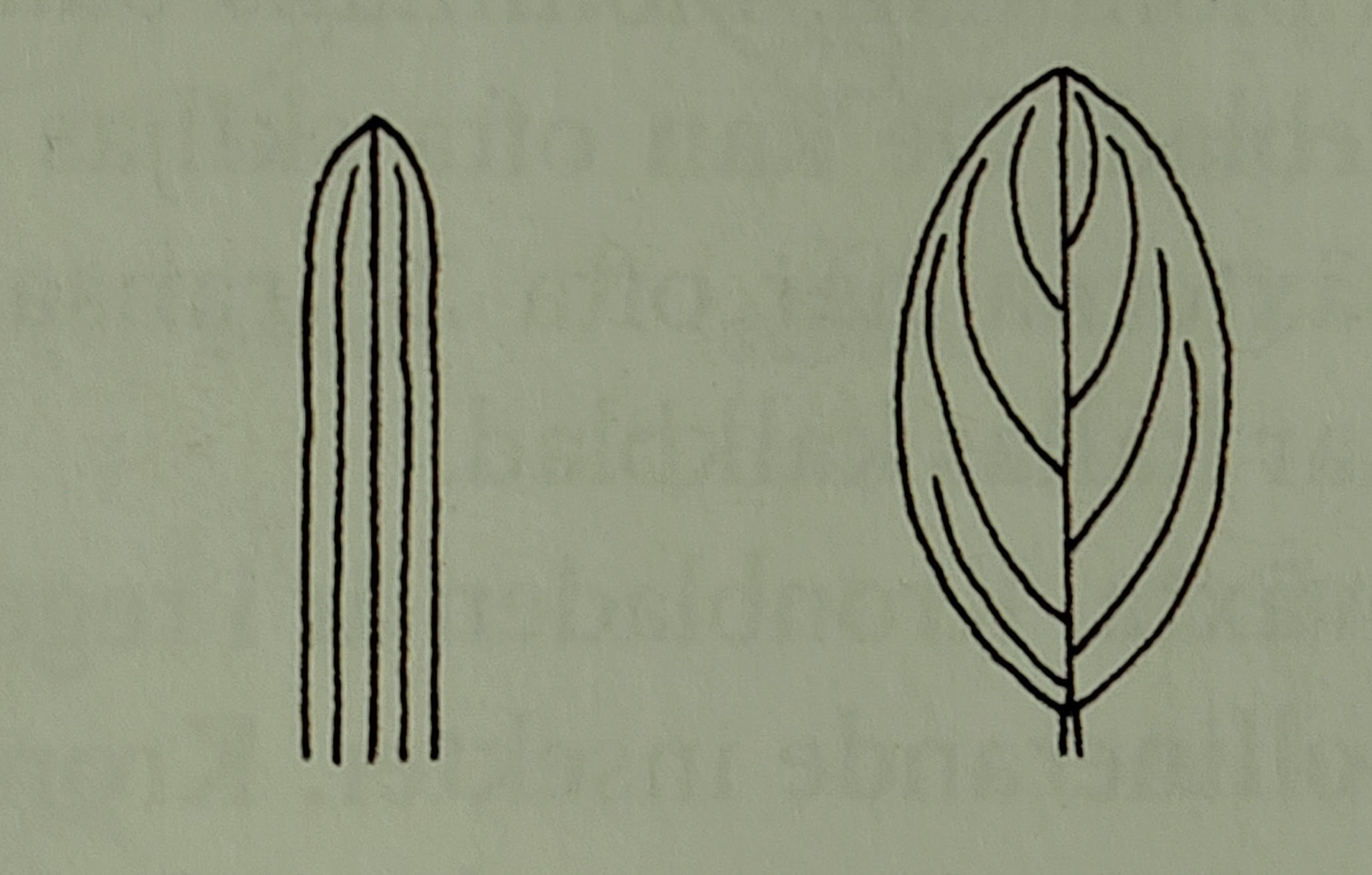 <p></p>