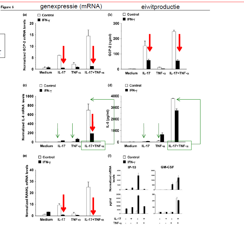 <p>→ synergie tsn IL-17 en TNF-<span>α, en van antagonisme met IFN-γ</span></p><ol><li><p>MEF (muis embryonale fibroblasten) 48u stimuleren met:</p><ol><li><p>enkel IL-17 </p></li><li><p>enkel TNF-α </p></li><li><p>IL-17 + TNF-α </p></li><li><p>→ allemaal met of zonder IFN-γ</p></li></ol></li><li><p>effecten bekijken <em>(van boven naar onder) </em></p><ol><li><p>bovenste rij (GCP2 mRNA/eiwit) en middelste rij (IL6 mRNA/eiwit)</p><ol><li><p>IL-17 + TNF-α samen → veel meer dan de som = synergie (versterken elkaar)</p></li><li><p>IL-17 + TNF-α + IFN-γ → synergisch effect wordt geblokkeerd door IFN-γ = antagonisme </p></li></ol></li><li><p>onderste rij (RANKL mRNA/eiwit)</p><ol><li><p>niet hetzelfde effect → bewijst dat synergisch/antagonistisch effect target/proteine specifiek is!</p></li></ol></li></ol></li><li><p>waarom mRNA en eiwitproductie beiden bekijken? → genexpressie en eiwitproductie komen niet altijd overeen → zien op beide niveau’s effect van synergie/antagonisme </p></li></ol><p></p><p></p><p></p><p><em>(grafieken links: mRNA aka genexpressie, rechts: effectieve eiwitproductie. </em></p><p><em>(grafieken boven: granulocyt chemotactische factor (GCP), midden: IL-6, onder: RANKL)</em></p>