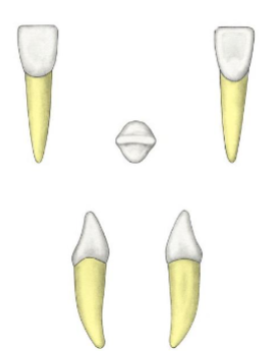 <p>?</p>