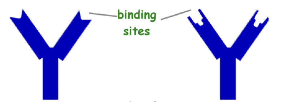 <p>What is this?</p>