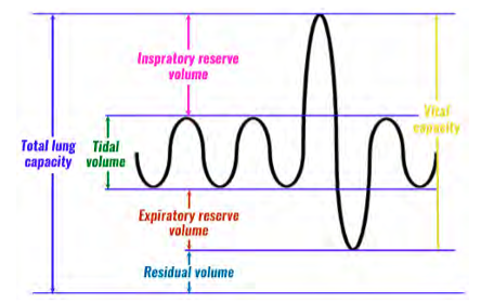 <p>Explain each component on the spirometer </p>