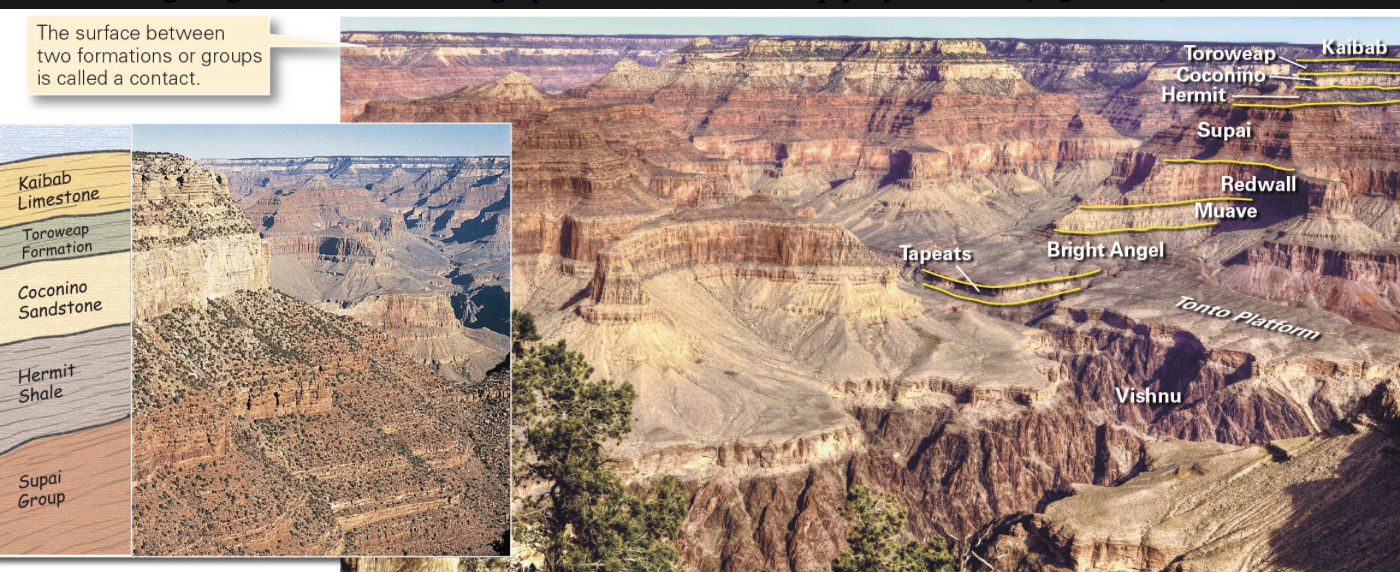 <p>a recognizable layer of a specific sedimentary rock type or set of rock types, deposited during a certain time interval, that can be traced over a broad region; sequence of strata that is distinctive enough to be traced as a unit across a fairly large region</p><ul><li><p>Ex → sequence of sandstone and shale beds as one formation and the sequence of limestone beds as another</p></li></ul><p></p>