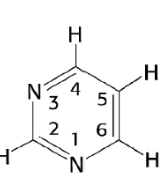 <p>Where does pentose attach on Pyrimidines</p><p></p>