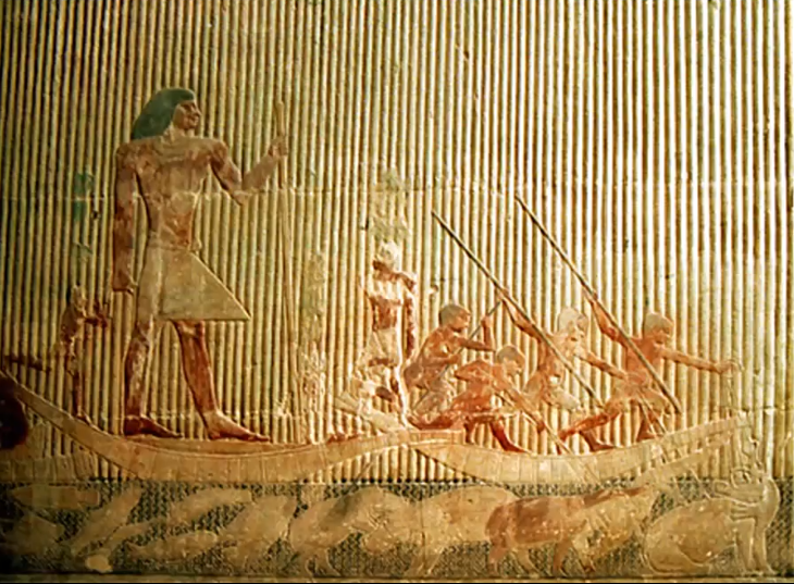 term image