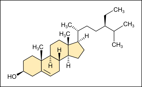 <p>4 fused rings, cholesterol, hormones</p>
