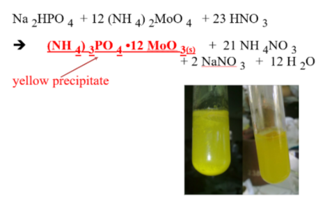 <p><span style="line-height: 0px;">NON-METALLIC IONS​: <strong>PO<sub>4</sub><sup>–3</sup> (phosphate)</strong></span></p>