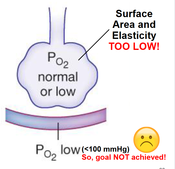 <p>In patients with emphysema, destruction of alveoli from long term smoking leads to less surface area for gas exchange</p>