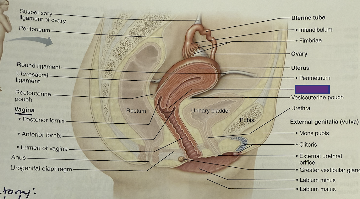 <p>What is this and its function?</p>